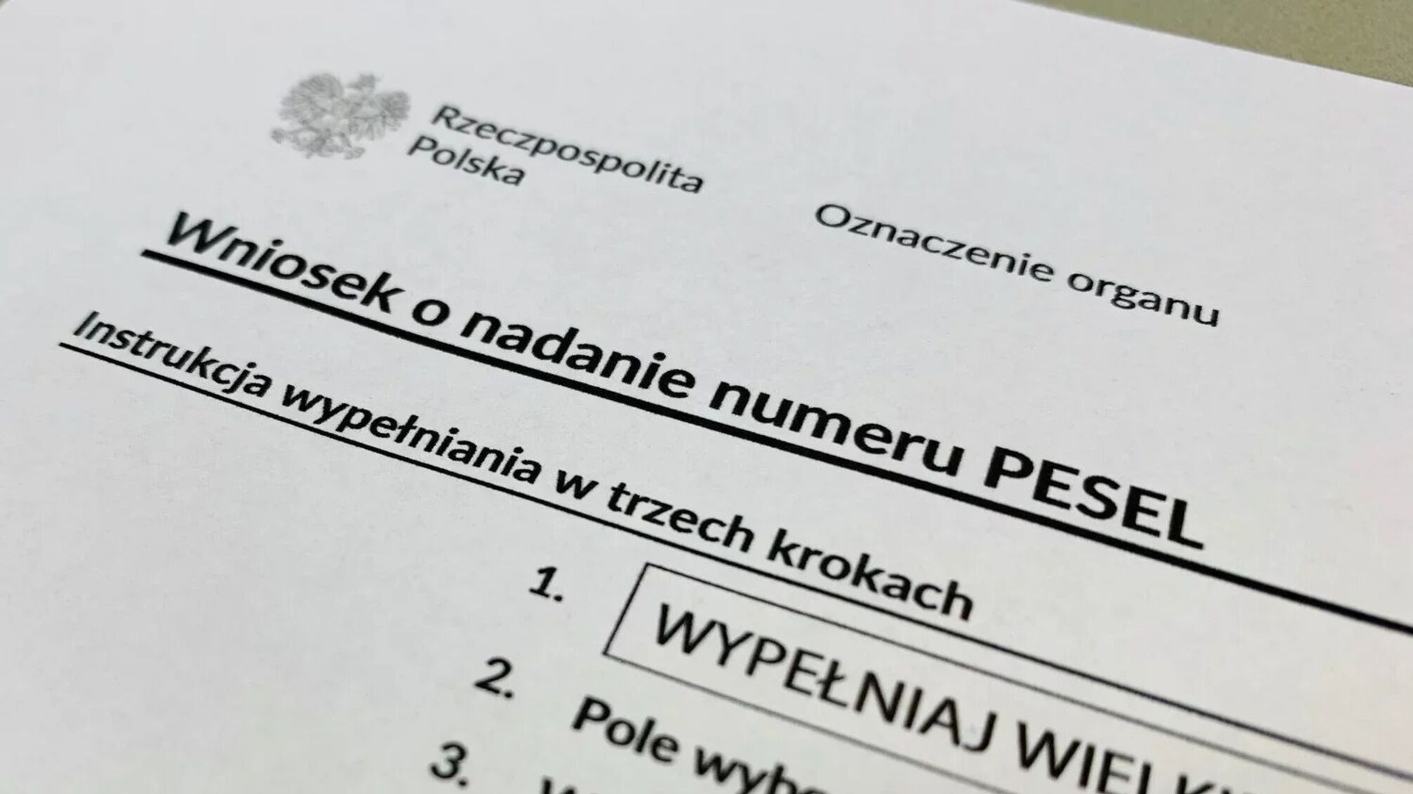 PESEL у Польщі: що приховують 11 цифр у вашому номері