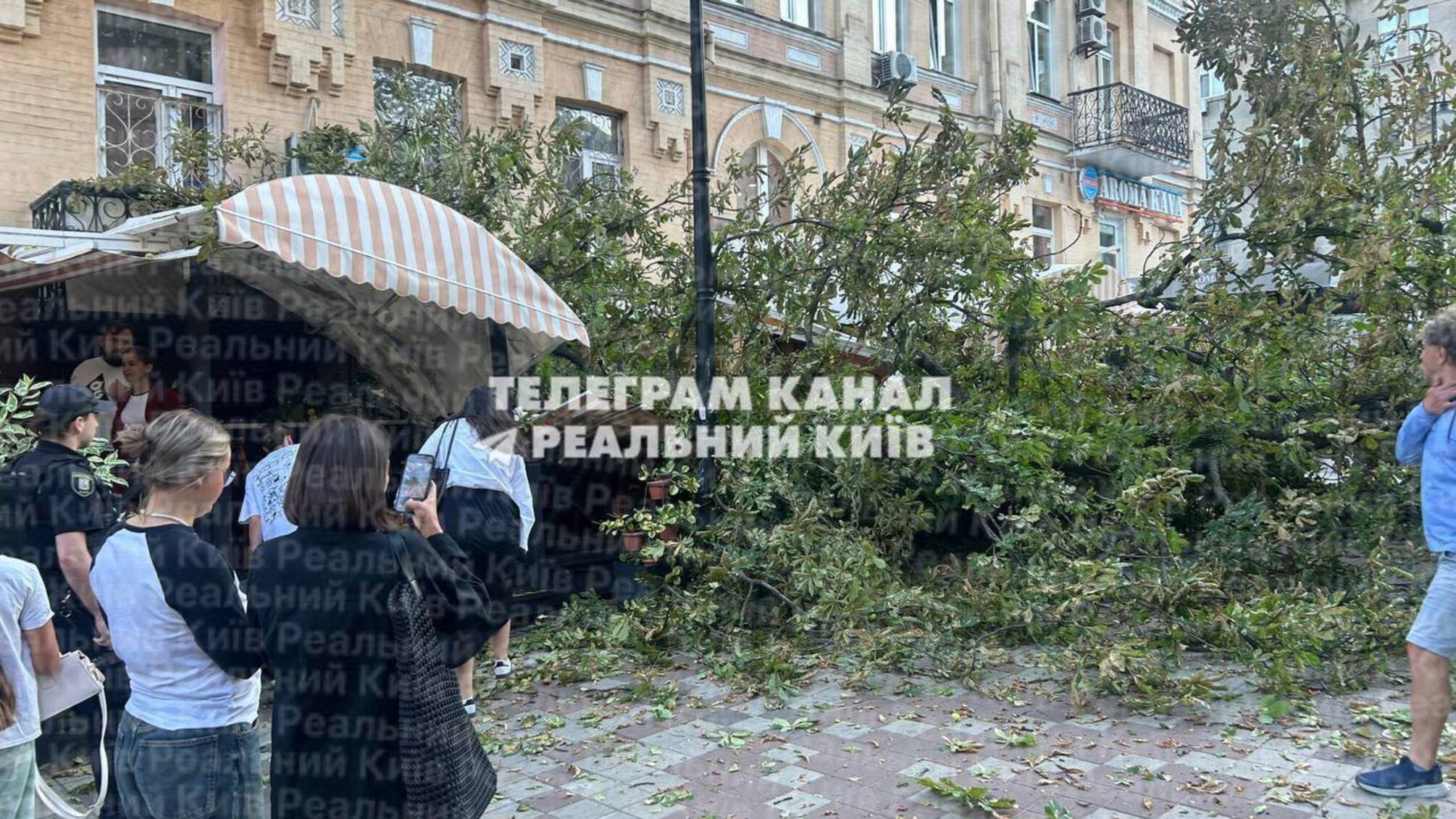 У центрі Києва велике дерево впало на терасу ресторану біля Золотих воріт