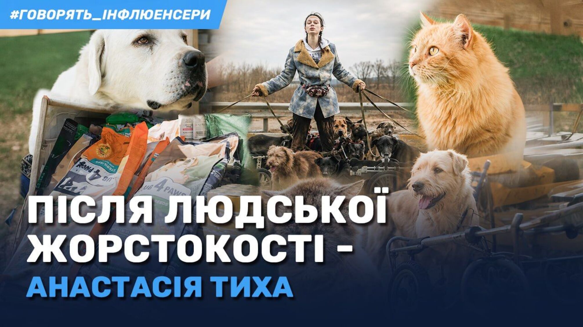 Вижити — замало. Як в притулку Анастасії Тихої повертають тварин до життя