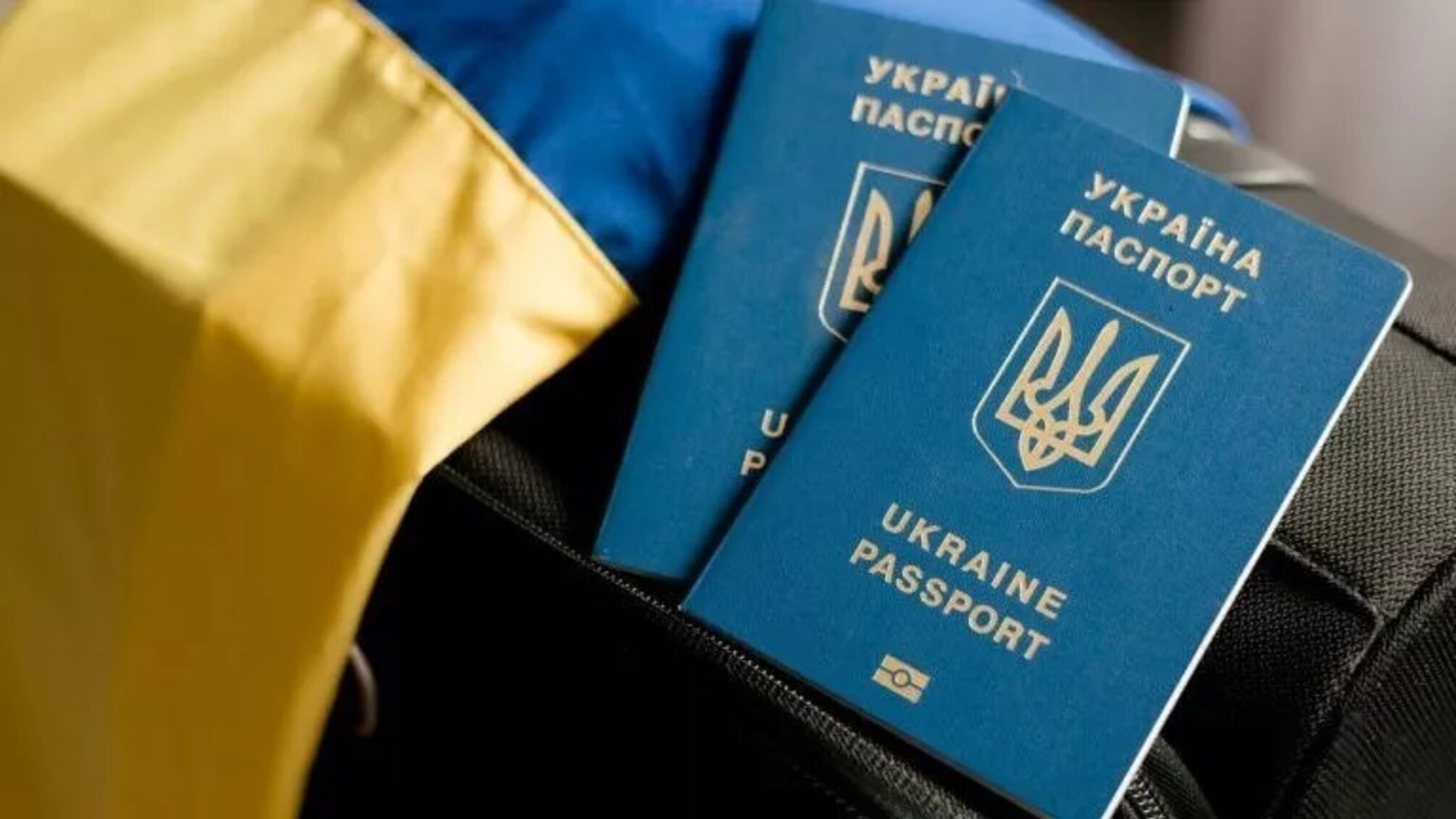 Германия изменила правила §24 для украинцев: кому могут отказать в защите