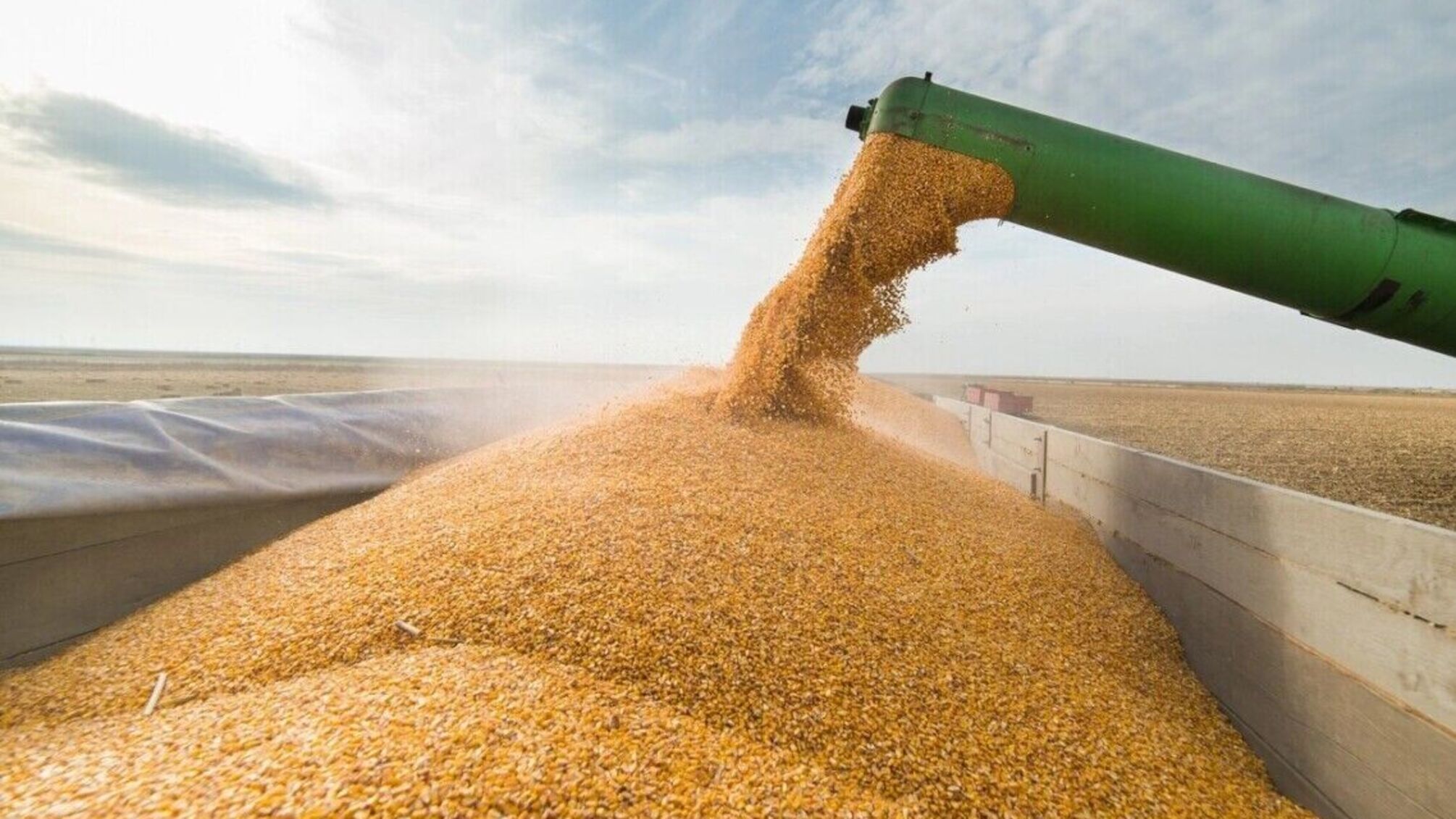Агроэкспорт Украины в августе рухнул на 47,5%: что произошло с зерном