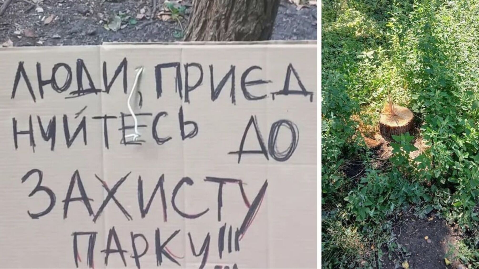 'Проснулась под звуки пил': в Киеве жители протестуют против вырубки парка на Теремках