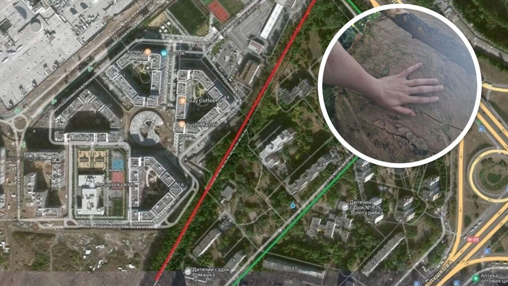 В KAN Development опровергли причастность к вырубке парка на Теремках: кто и зачем уничтожает вековые деревья?