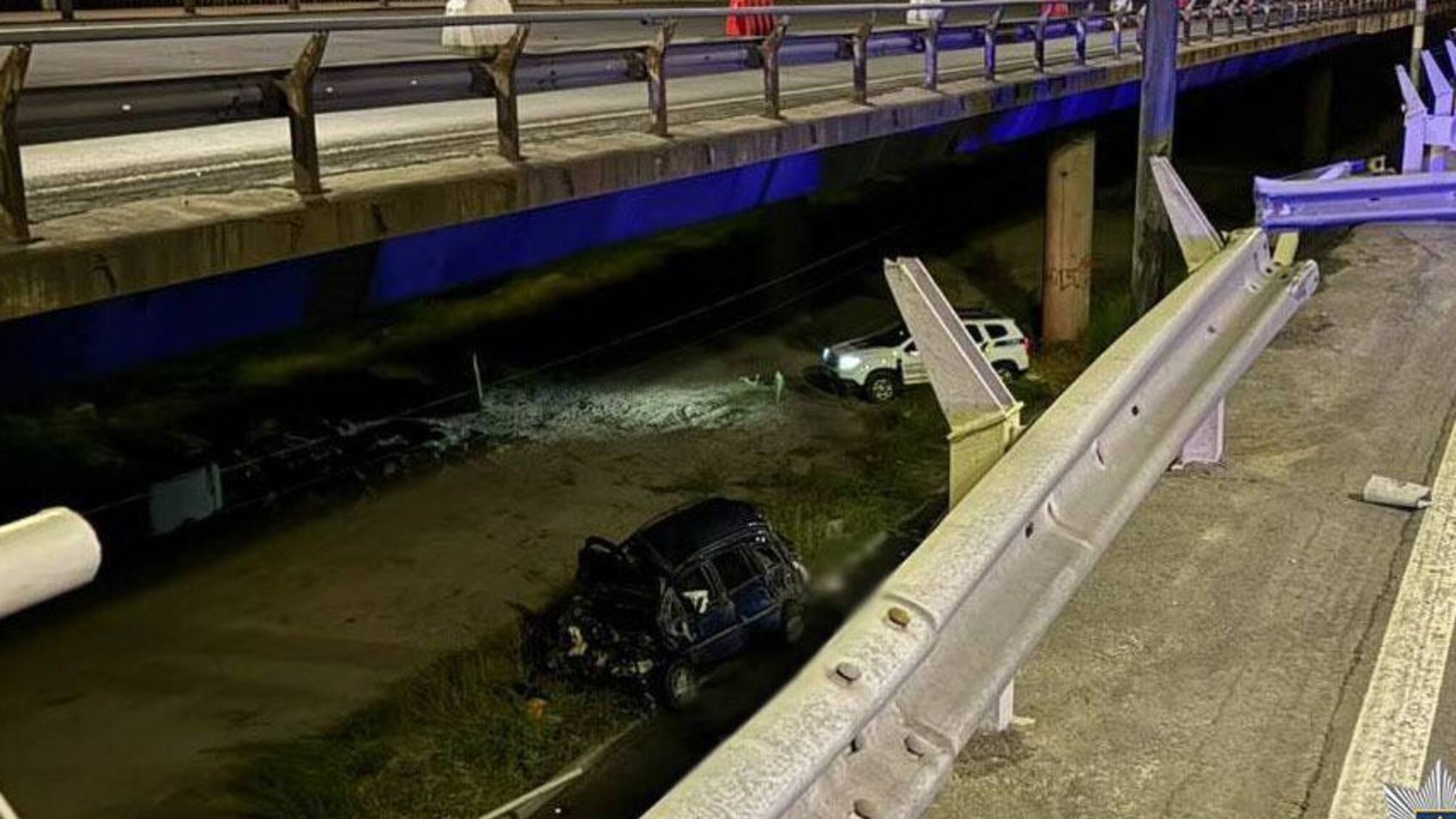 В Киеве Opel слетел с Южного моста
