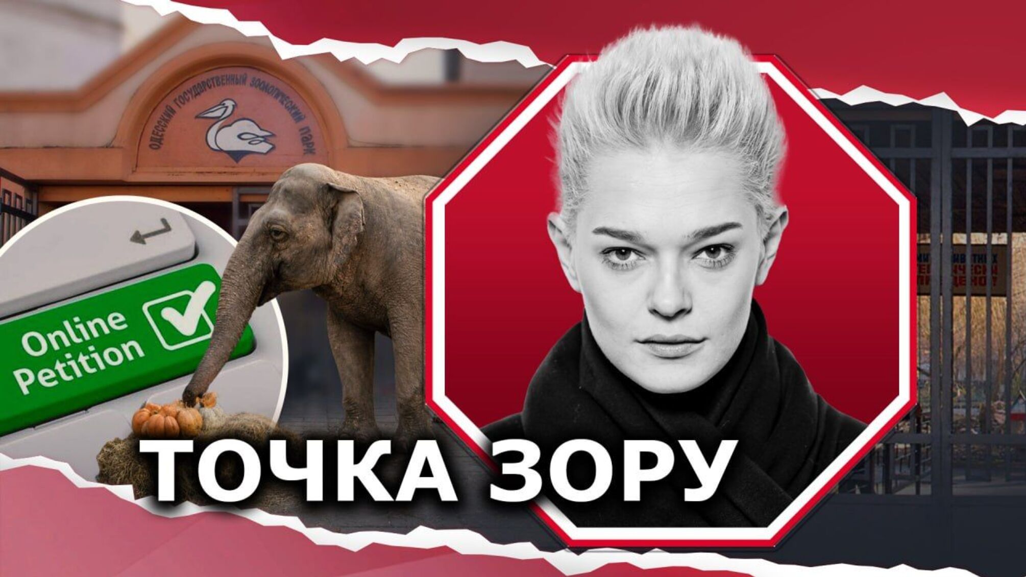 Одесити своє слово сказали: петиції про зоопарк