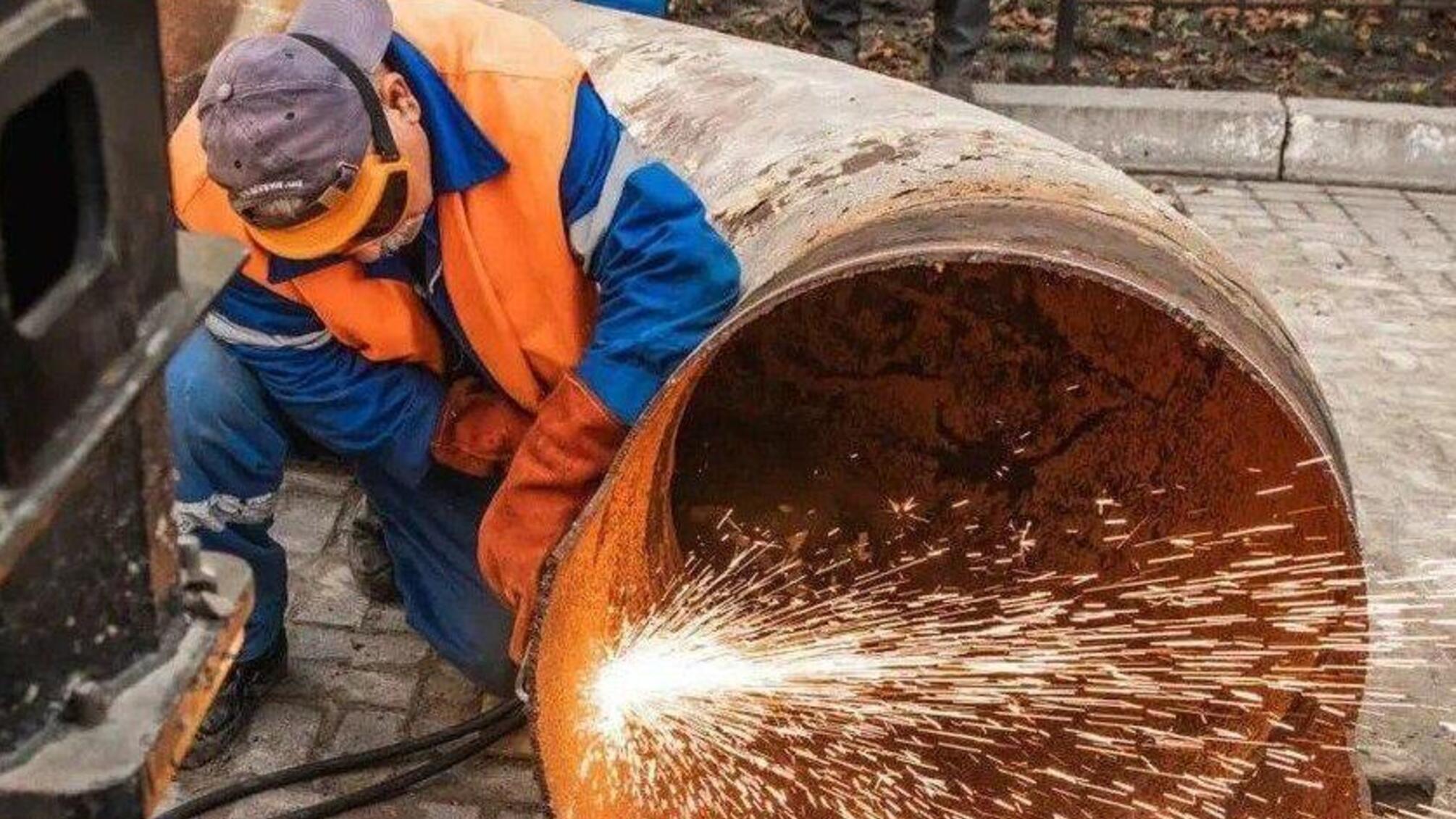 160 деревьев сохранят: в Киеве объяснили, что происходит на стройплощадке на Теремках