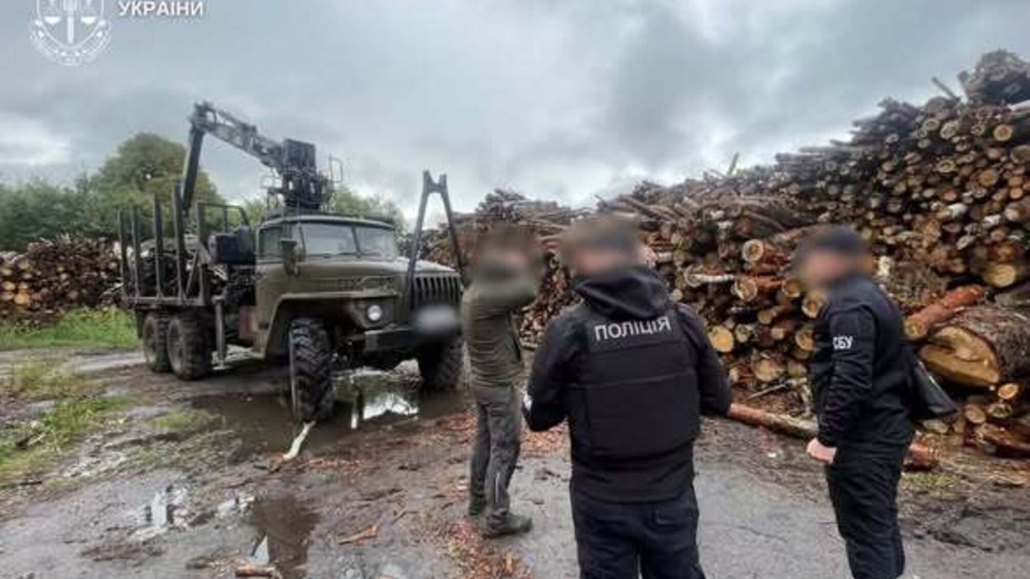 На Житомирщині викрили схему незаконної вирубки понад 8 тисяч дерев: збитки перевищили 33 млн грн